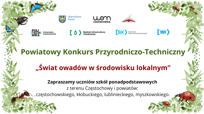 kopia__owady_1.png